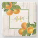Search for citrus coasters Oranges