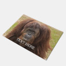 Search for orangutan gifts Monkey