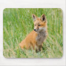 Search for den mousepads Superstock