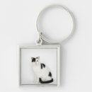 Search for white cats key rings Animal