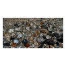 Search for pebble posters Nature