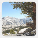 Search for old tree stickers Nature