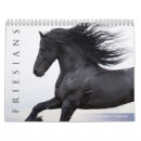 Search for friesian horse Horses