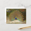 Search for iridescent postcards Gold