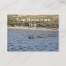 Search for alligator business cards Nature