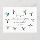 Search for north america postcards Wildlife