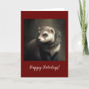 Search for pet ferret cards Whimsical