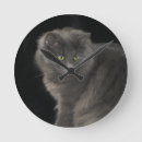 Search for russian clocks Cat