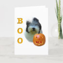 Search for old english sheepdog cards Dogs