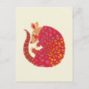 Search for armadillo postcards Illustration
