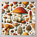 Search for mushroom posters Botanical