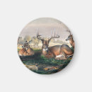 Search for white wolf magnets Nature