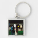 Search for holstein key rings Animal