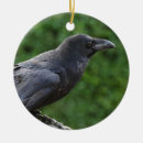 Search for crow christmas tree decorations Beautiful