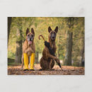 Search for rubber stamp postcards Funny