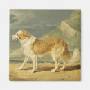 Search for dog coat magnets Dogs