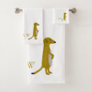 Search for meercat Wildlife