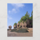 Search for new brunswick postcards Bay of fundy