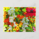 Search for cheers postcards Floral