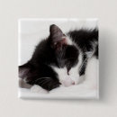 Search for one shot badges Cat