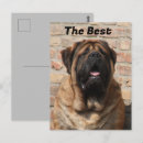 Search for old english postcards Mastiff