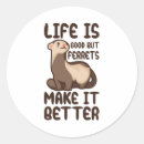 Search for ferret stickers Weasel