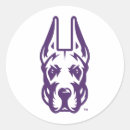 Search for albani stickers Ualbany great danes