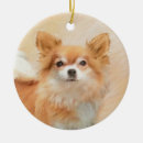 Search for long haired chihuahua christmas tree decorations Puppy