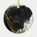 Search for hunt christmas tree decorations Labrador retriever