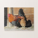 Search for chicken puzzles Rooster