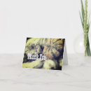 Search for gourds cards Vintage