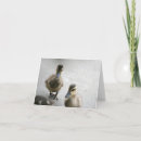 Search for baby chick thank you cards Animal