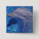Search for bottlenose badges Nature