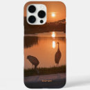 Search for sandhill electronics Birds