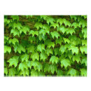 Search for creeper art Green