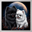 Search for pomeranian puppy posters Puppies
