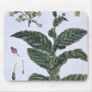 Search for collected mousepads Botanical
