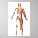 Search for leggings art Skeleton