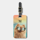 Search for pomeranian puppy accessories Pom pom