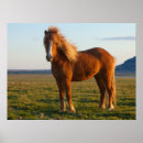Search for jayne posters Jim zuckerman