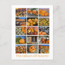 Search for gourd postcards Pumpkin