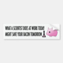 Search for a scientist bumper stickers Research