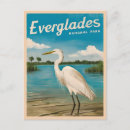 Search for florida everglades postcards Everglades national park