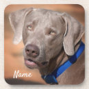 Search for weimaraner barware Animal