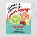 Search for fruit flyers Summer