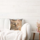Search for remembrance photography Pet loss