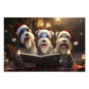Search for miniature schnauzer posters Funny