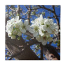 Search for pear tree tiles Nature