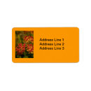 Search for tennessee return address labels Nature