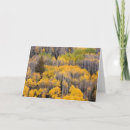 Search for aspen trees cards Forest